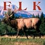Elk