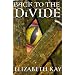 Back to the Divide