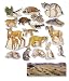 Search : Desert Animals Pre-Cut w/Desert Flannelboard Overlay Flannelboard Figures