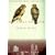 Red Tails In Love a Wildlife Drama In Ce