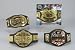 World Wrestling Entertainment Championship 70065241 - Gürtel, 4fach sortiert
