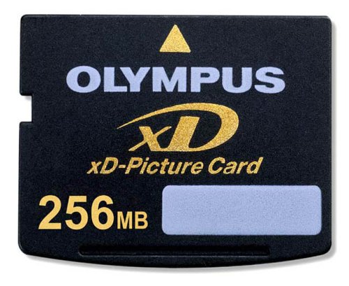 Childrens Toyshop  Electronics : Sandisk 256MB XD Digital Picture Card