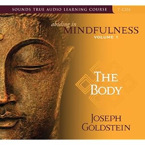 Abiding in Mindfulness: The Body by Joseph Goldstein