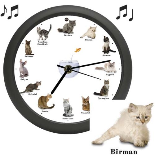 404 Squidoo Page Not Found