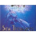 Sea Treasures (Mystery Envelope Book) by Inc. Penton Overseas