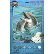 Dolphin Trio PBN
