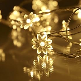 Sunflower Fairy Lights, 30 True Warm White LED, Indoor Lights