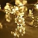 Sunflower Fairy Lights, 30 True Warm White LED, Indoor Lights