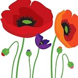 51Z3tT7Z1gL. SL160  Check Out 9 Poppy Pow Flowers Decorative Peel and Stick Wall Sticker Decals for $9.99