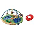 Boppy Entertain Me Play Gym