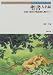 聖書人名録―旧約・新約の物語別人物ガイド (Truth In Fantasy)