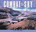 Combat in the Sky: The Art of Air Warfare