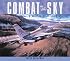 Combat in the Sky: The Art of Air Warfare