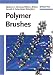 Books : Polymer Brushes: Synthesis, Characterization, Applications