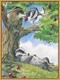 Afternoon Nap Framed Canvas Art by Cliff Wright,12.3 in. x 16.6 in. Framed