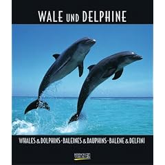 Wale und Delfine 2005