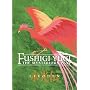 Fushigi Yugi - The Mysterious Play - Eikoden (Vol. 3)
