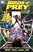 Birds of Prey: Between Dark and Dawn