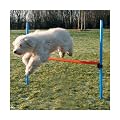 Trixie 3207 Dog Activity Agility H�rde, 123 � 115 � � 3 cm, blau/orange