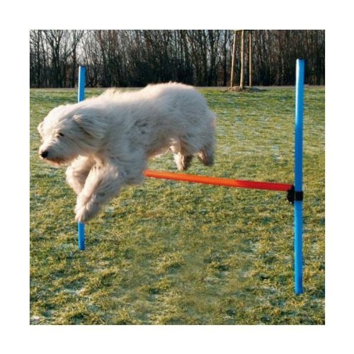 Trixie 3207 Dog Activity Agility H&uuml;rde, 123 &times; 115 &times; &oslash; 3 cm, blau/orange Preisvergleich