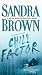 Chill Factor: A Novel