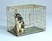 Pet Product 203SD Dog Crate - Gold Side Door - Medium