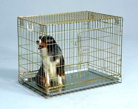 Dog Crate - Gold Side Door/Medium