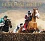 Festival Gold: Three Decades of Cheltenham Racing