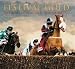 Festival Gold: Three Decades of Cheltenham Racing