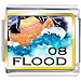 Golden Italian Charm Bracelet Plated Nature 2008 Flood Photo
