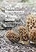 Texas Mushrooms: A Field Guide (Corrie Herring Hooks Series)