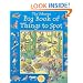 The Usborne Big Book of Things to Spot (Young searches)