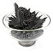 CMS Magnetics 12 oz Iron Powder for Magnet Education Iron Filing