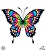 Beautiful Rainbow Butterfly - 12