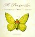 My Thoughts With Love: A Grandparent's Keepsake Journal (My Thoughts with Love)
