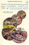 Handbook of Reptiles and Amphibians of Florida: Part 2 Lizards, Turtles, & Crocodilians