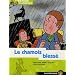 Un refuge pour les animaux, Tome 5 : Le chamois bless�