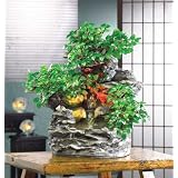 Serene Splendid Forest Bonsai Garden Water Fountain