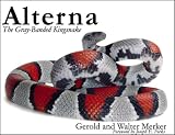  : Alterna: The Gray-Banded Kingsnake
