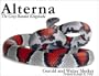 Alterna: The Gray-Banded Kingsnake