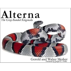 【クリックでお店のこの商品のページへ】Alterna： The Gray-Banded Kingsnake [ペーパーバック]