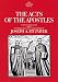Book Acts of the Apostles (Anchor Bible)