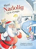 Stori Nadolig cyn cysgu