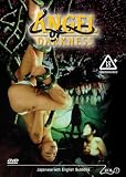 Angel Of Darkness Volume 2