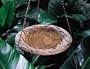 Hanging Dragonfly Birdbath