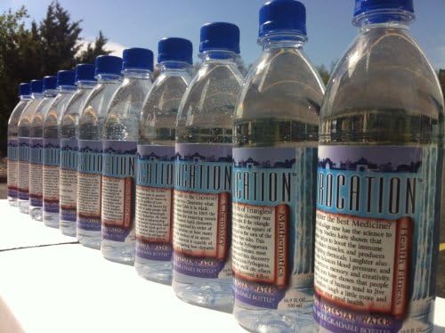 24 Pack of 16.9 ounce "Hydrocation" Artesian Bottled Water