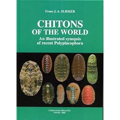 Chitons of the World