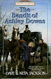 The Bandit of Ashley Downs: George Muller (Trailblazer Books #7)