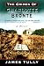 Search : The Crimes of Charlotte Bronte: The Secrets of a Mysterious Family : A Novel