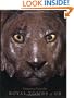 Treasures from the Royal Tombs of Ur